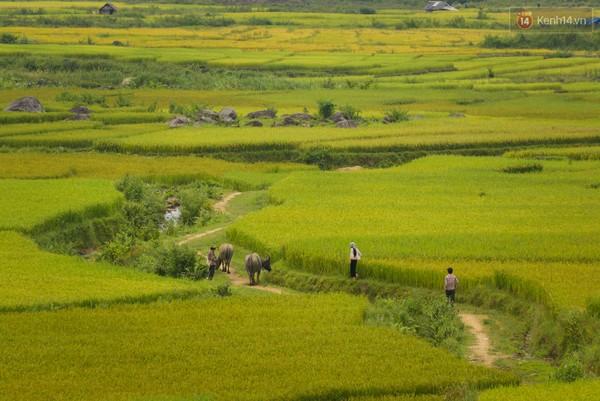 Chùm ảnh: Tây Bắc đẹp đến tan chảy trong nắng đầu thuABC_9175-3902a